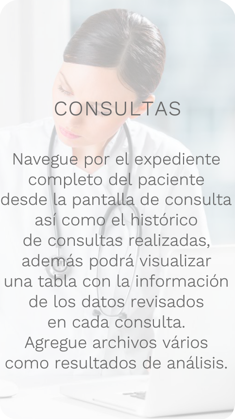 Consultas